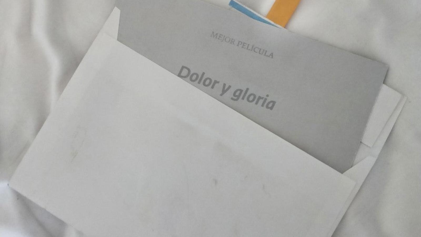 La noche que saqué «Dolor y gloria» de la basura