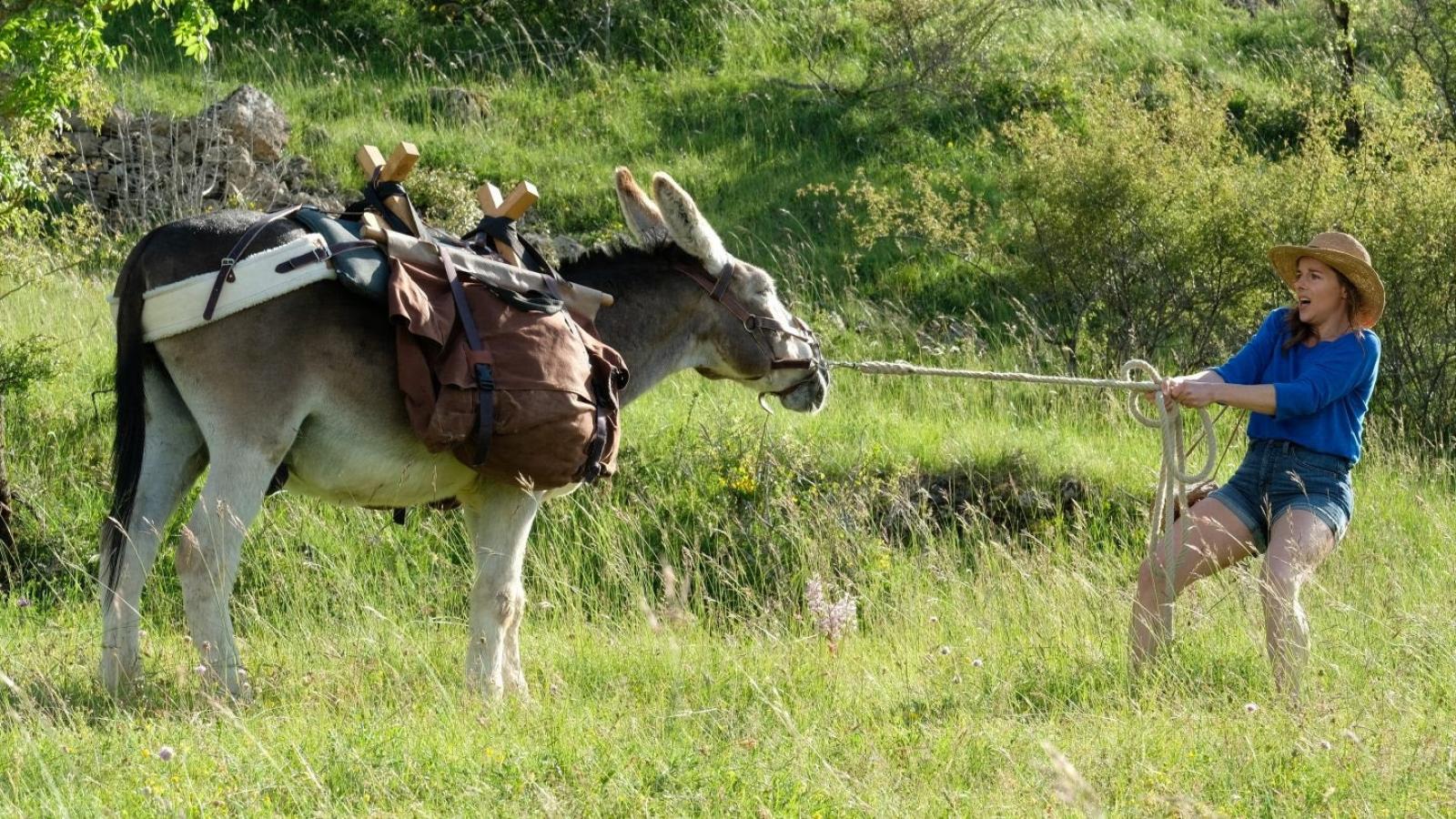 Crítica de “Vacaciones contigo...y con tu mujer”: Mi vida como un burro ★★★✰✰