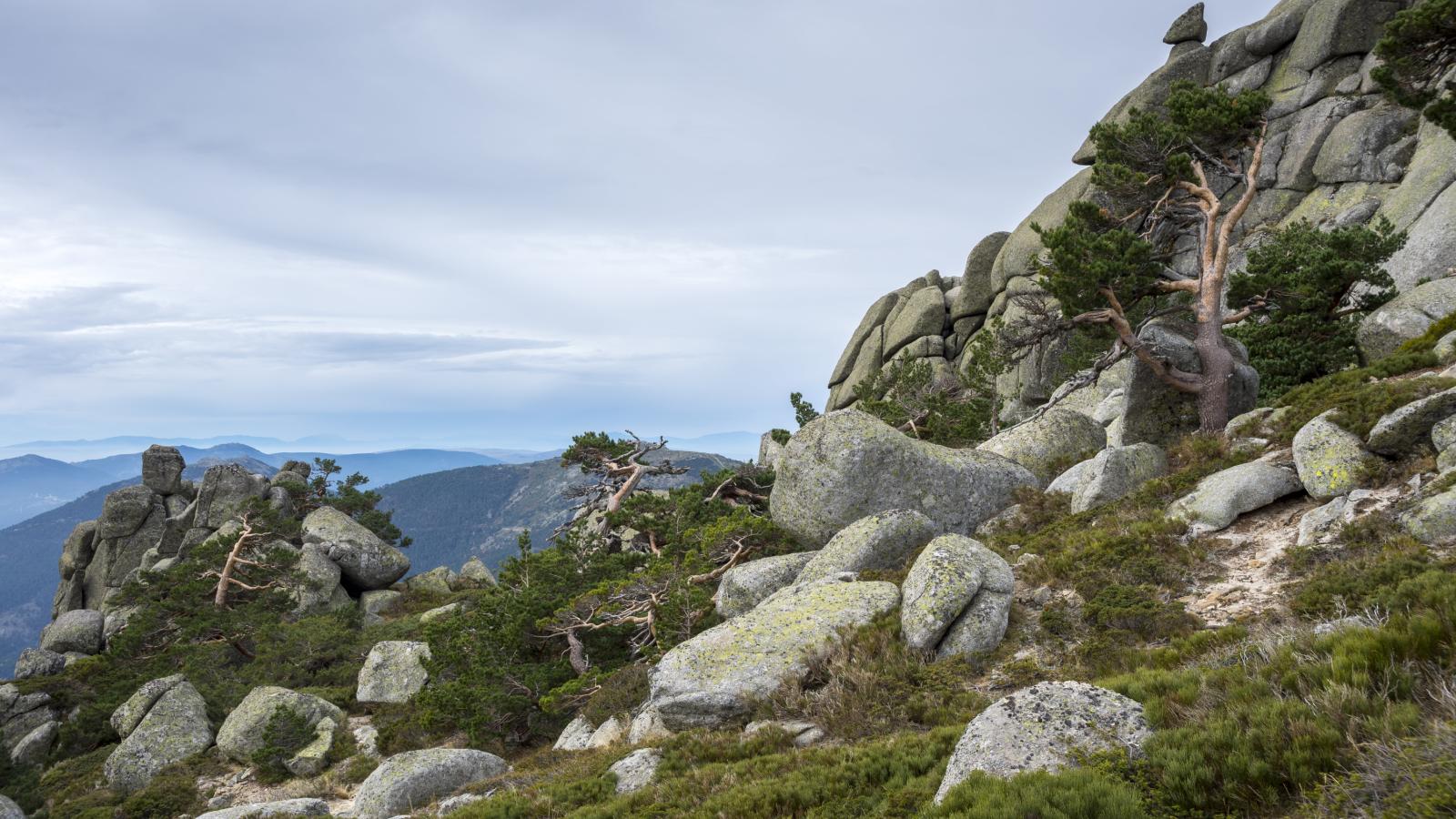 La leyenda del dragón de Guadarrama