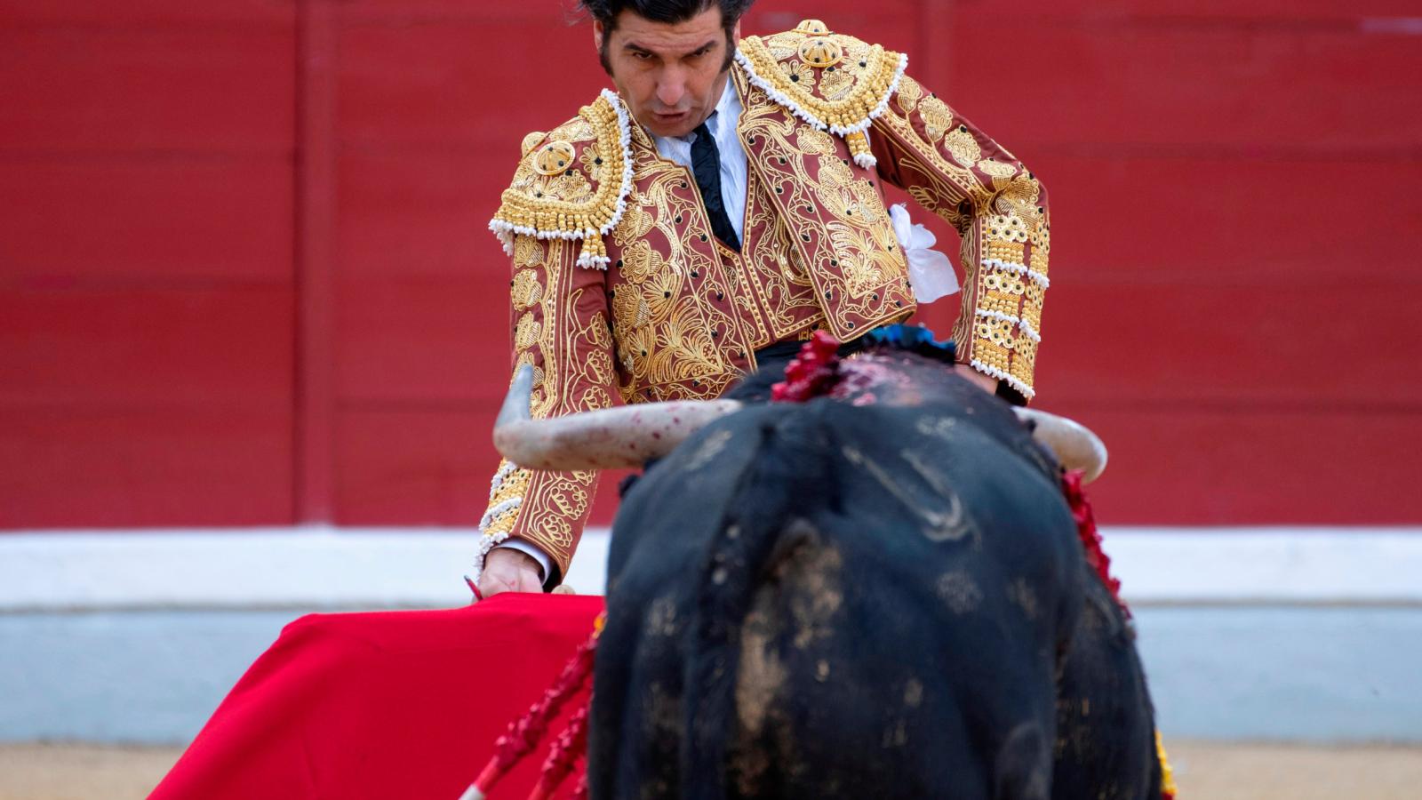 Morante paraliza México con más de 35.000 entradas ya vendidas para La Guadalupana