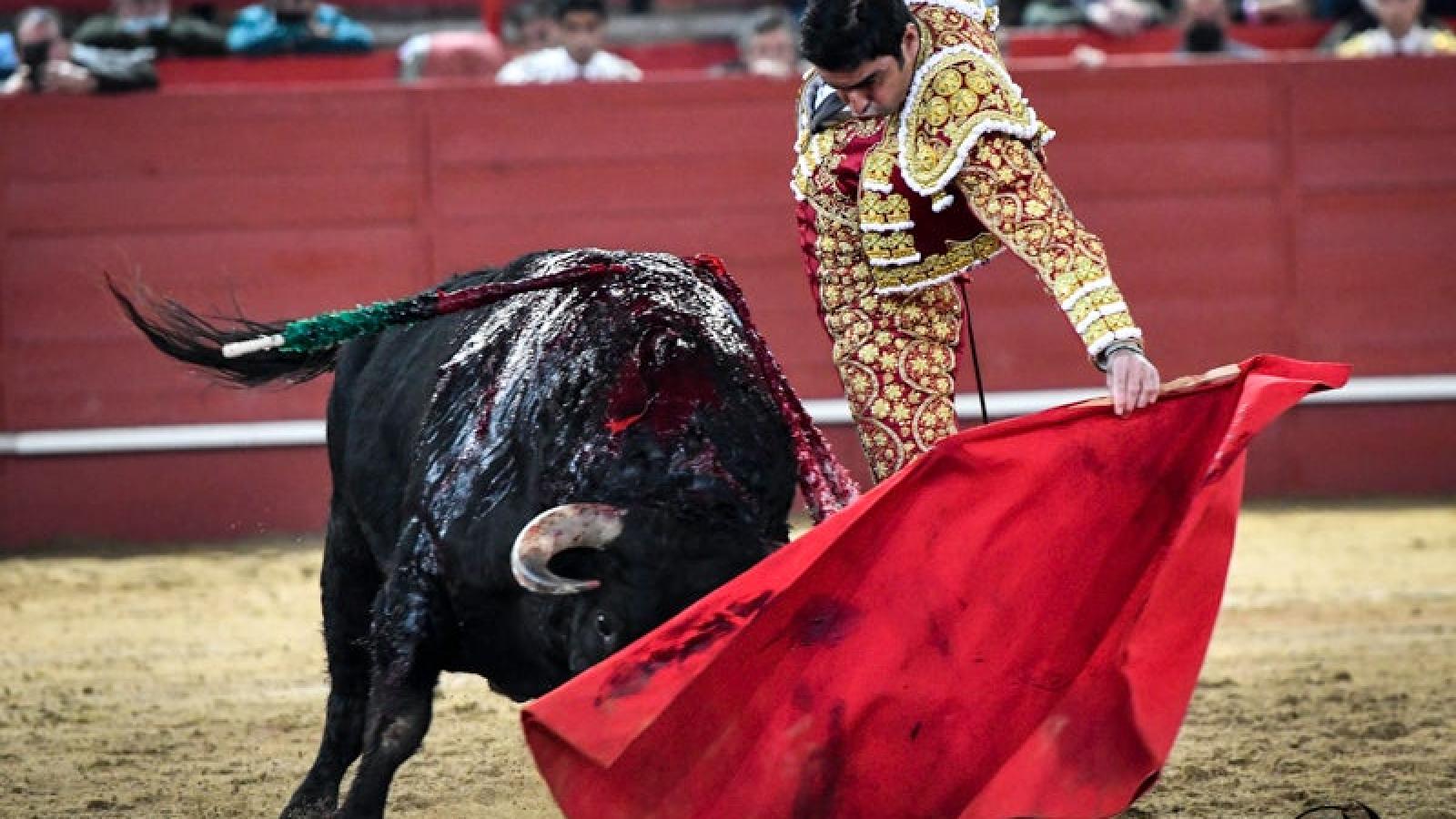 Triunfo de Perera en una tarde con sabor a lo de siempre y un corridón de Montalvo