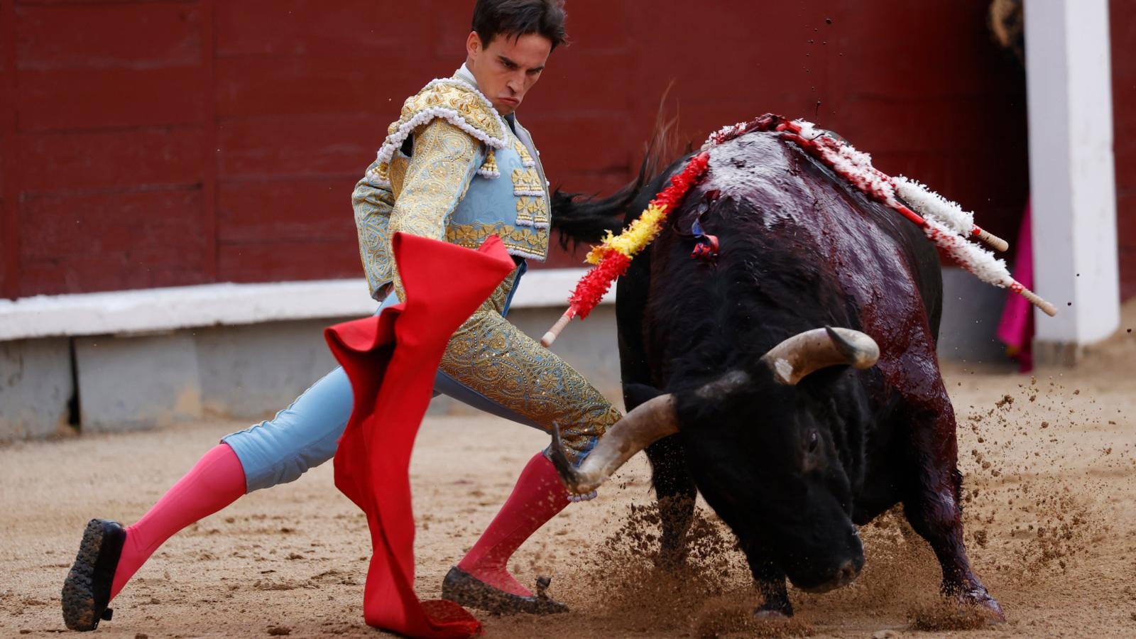 Toros ofensivos de pitones e ideas en el regreso de Caballero