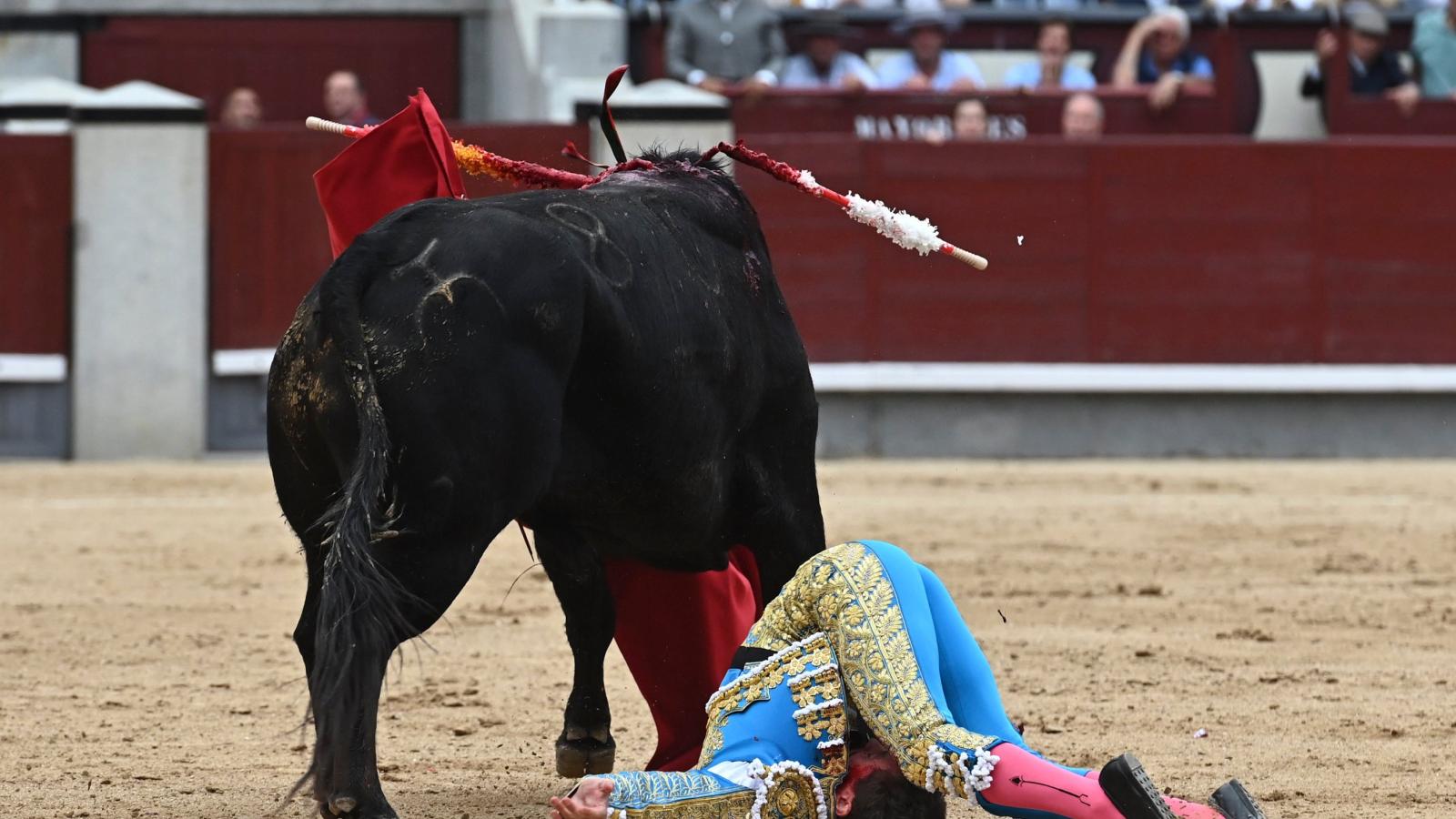 GRAF4100. MADRID, 15/05/2022.- El diestro Ginés Marín sufre un revolcón con su primero de la tarde durante la corrida de la Feria de San Isidro hoy en la plaza de Lasa Ventas, en Madrid. EFE/Fernando Villar