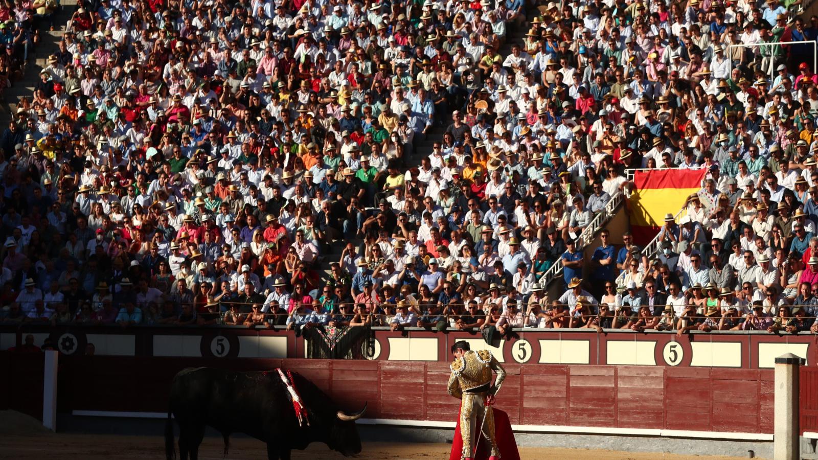 Morante, Roca Rey y Talavante ponen cara la Feria de Otoño y el fin de temporada