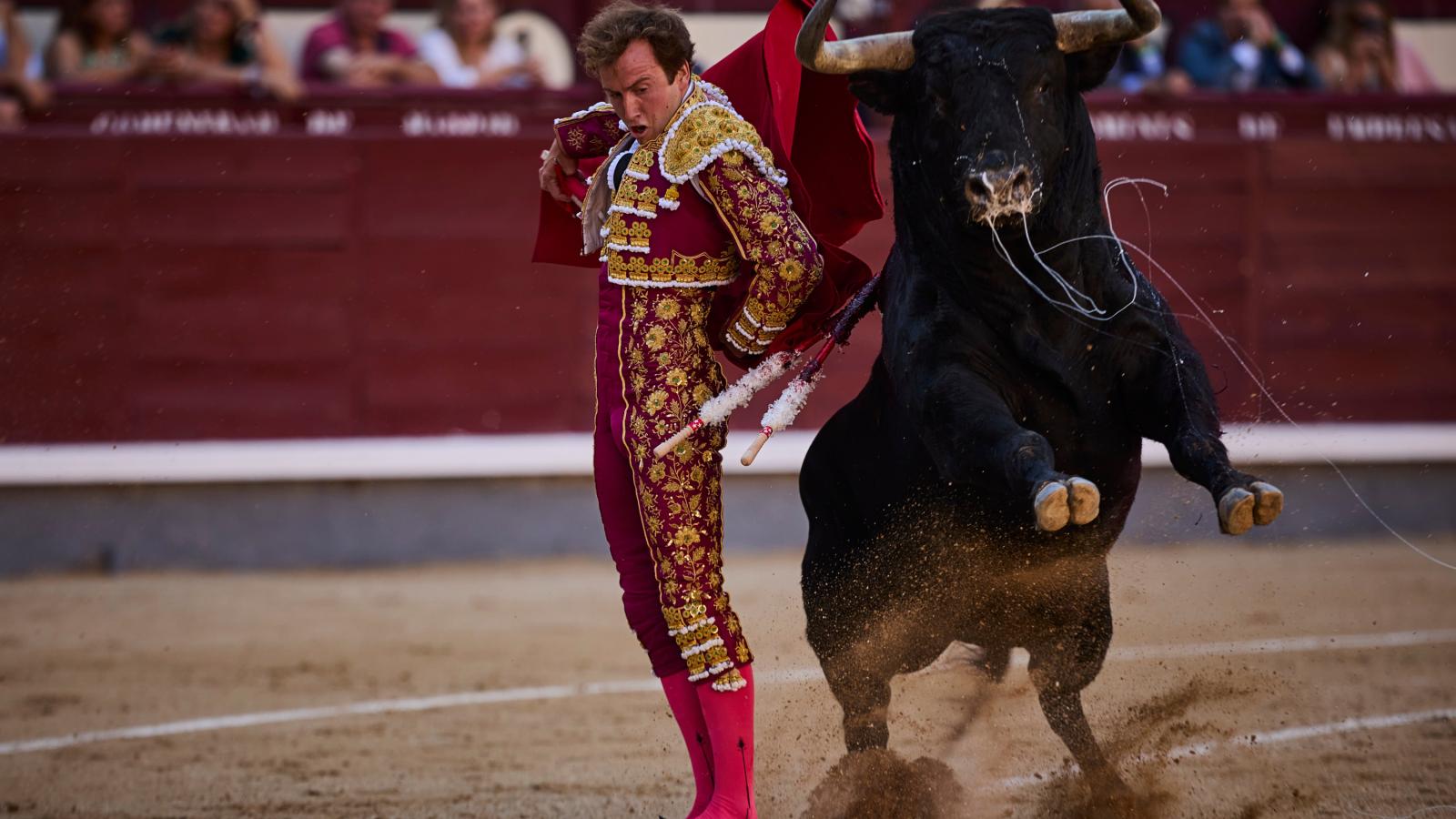 Román en su regreso: premiado, herido y exigido