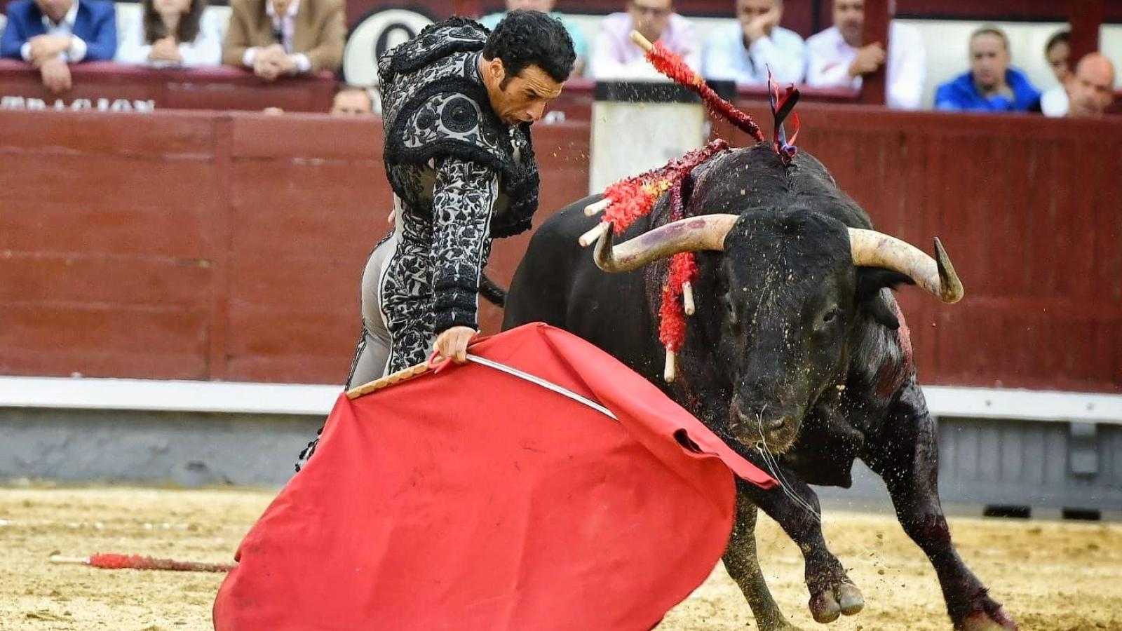 Toreros serios y exigentes samueles en su regreso