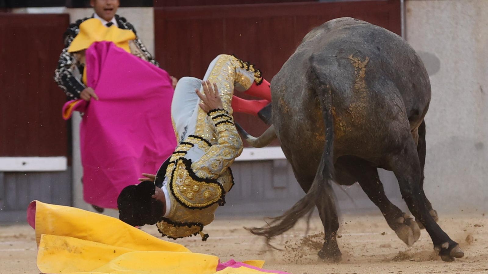 Gómez del Pilar, sangre y honor con la de Escolar