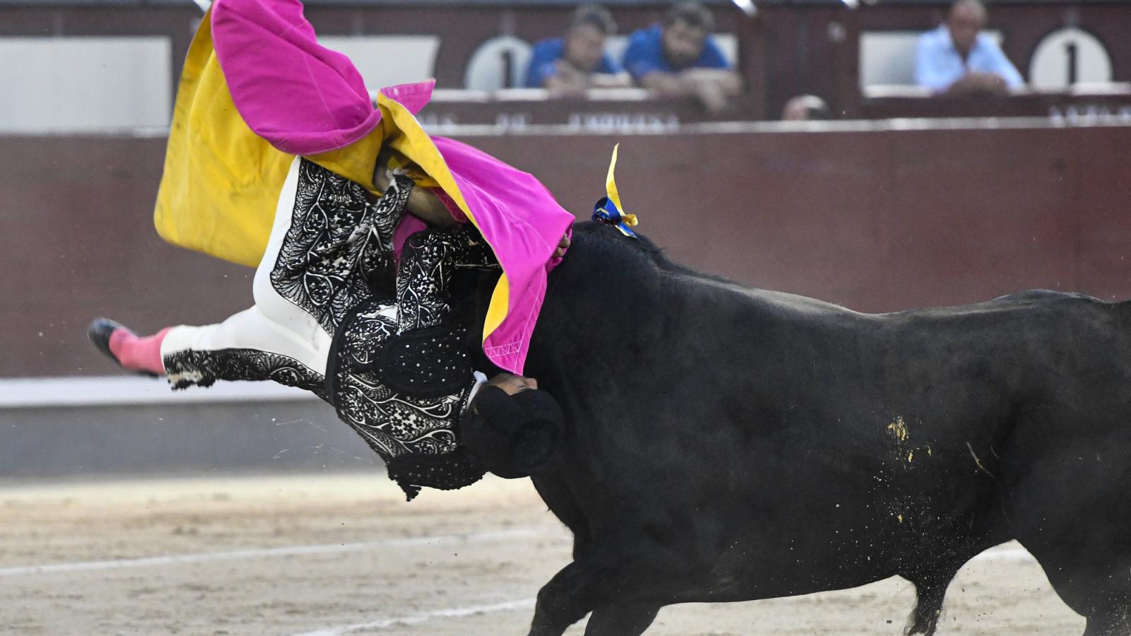 Leandro Gutiérrez tras la cornada: «Quiero volver este sábado»