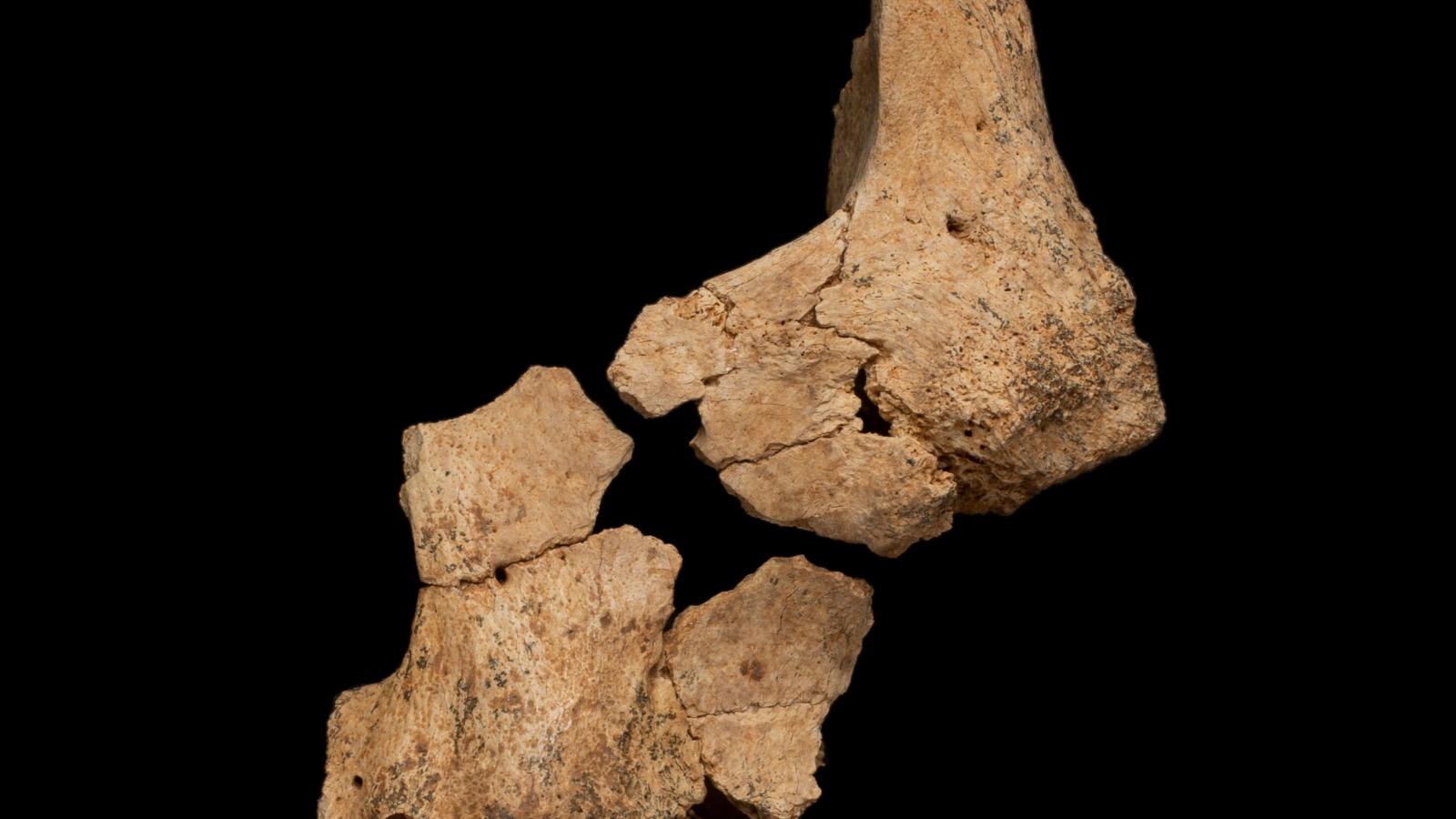 Atapuerca: un referente de la prehistoria europea en España