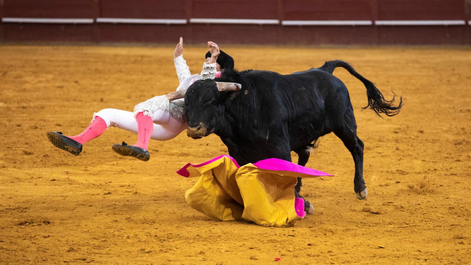 López Ortega, serio candidato en la final de hoy en Vistalegre