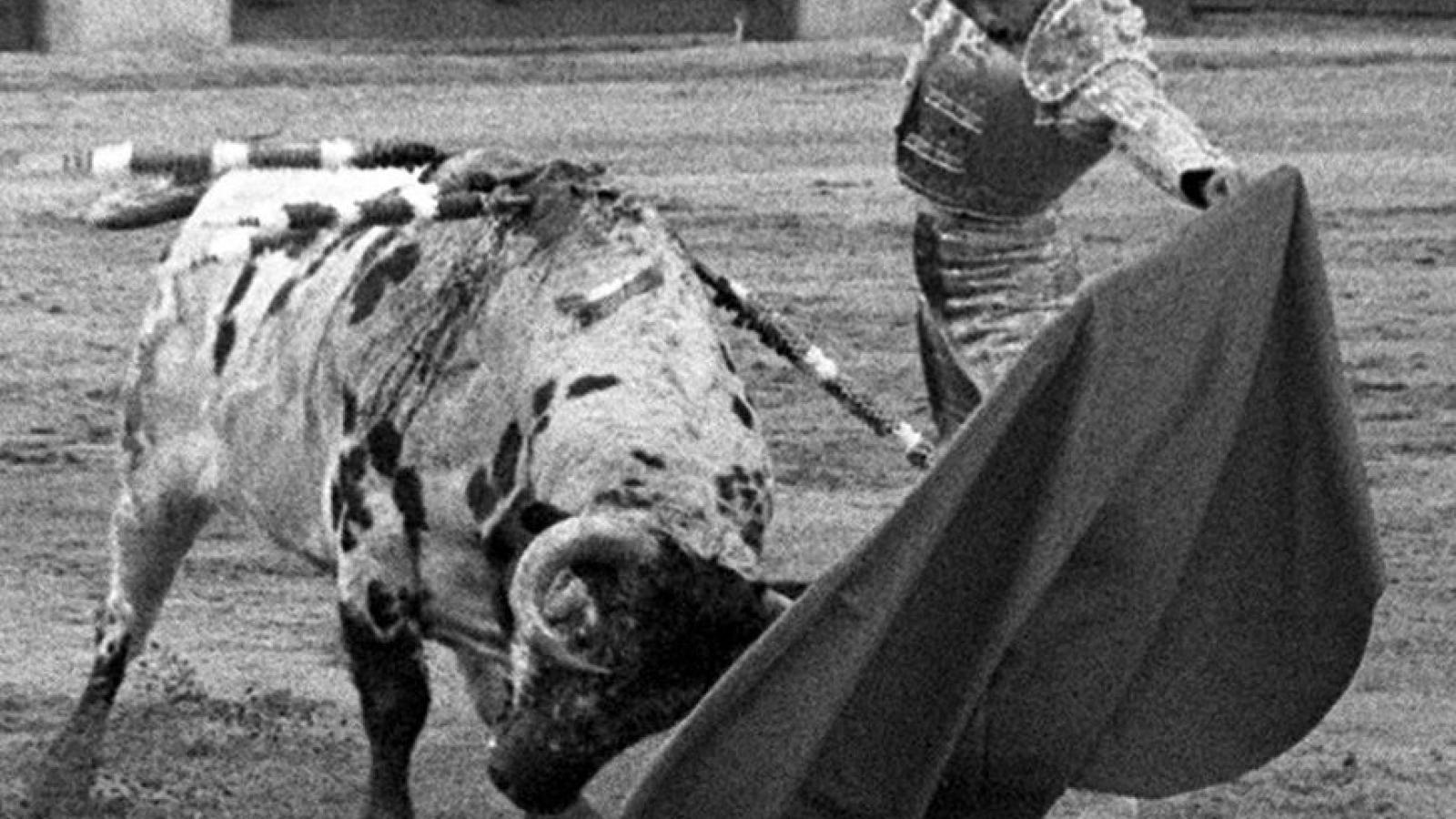 Quién es el "torero de Madrid" que homenajea hoy Las Ventas a título póstumo