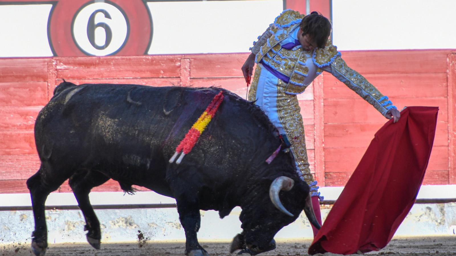 De Torres y el picador Sangüesa salvan un vacío "desafío ganadero" en Madrid