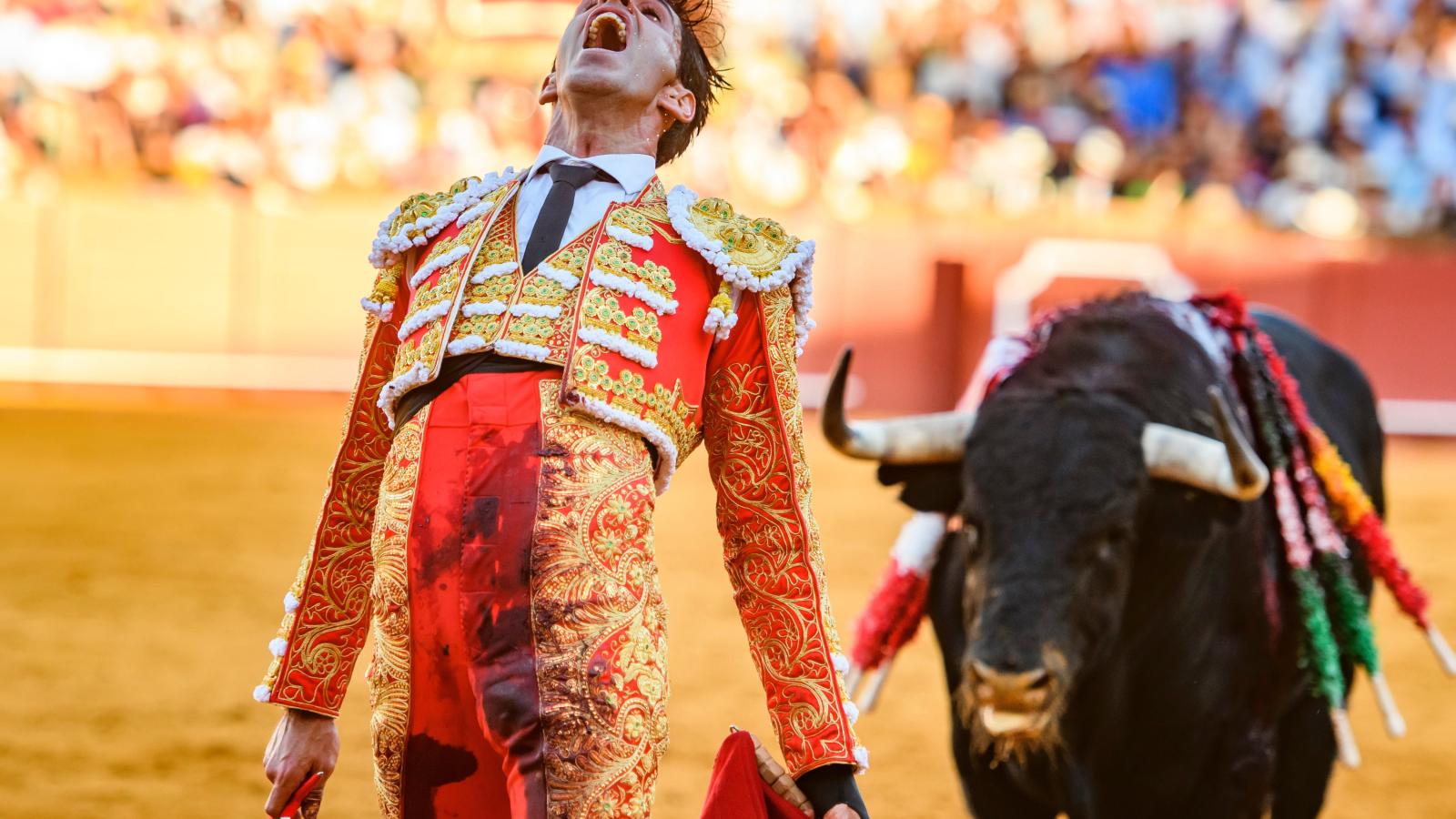 Talavante: trofeo de feria y fiesta