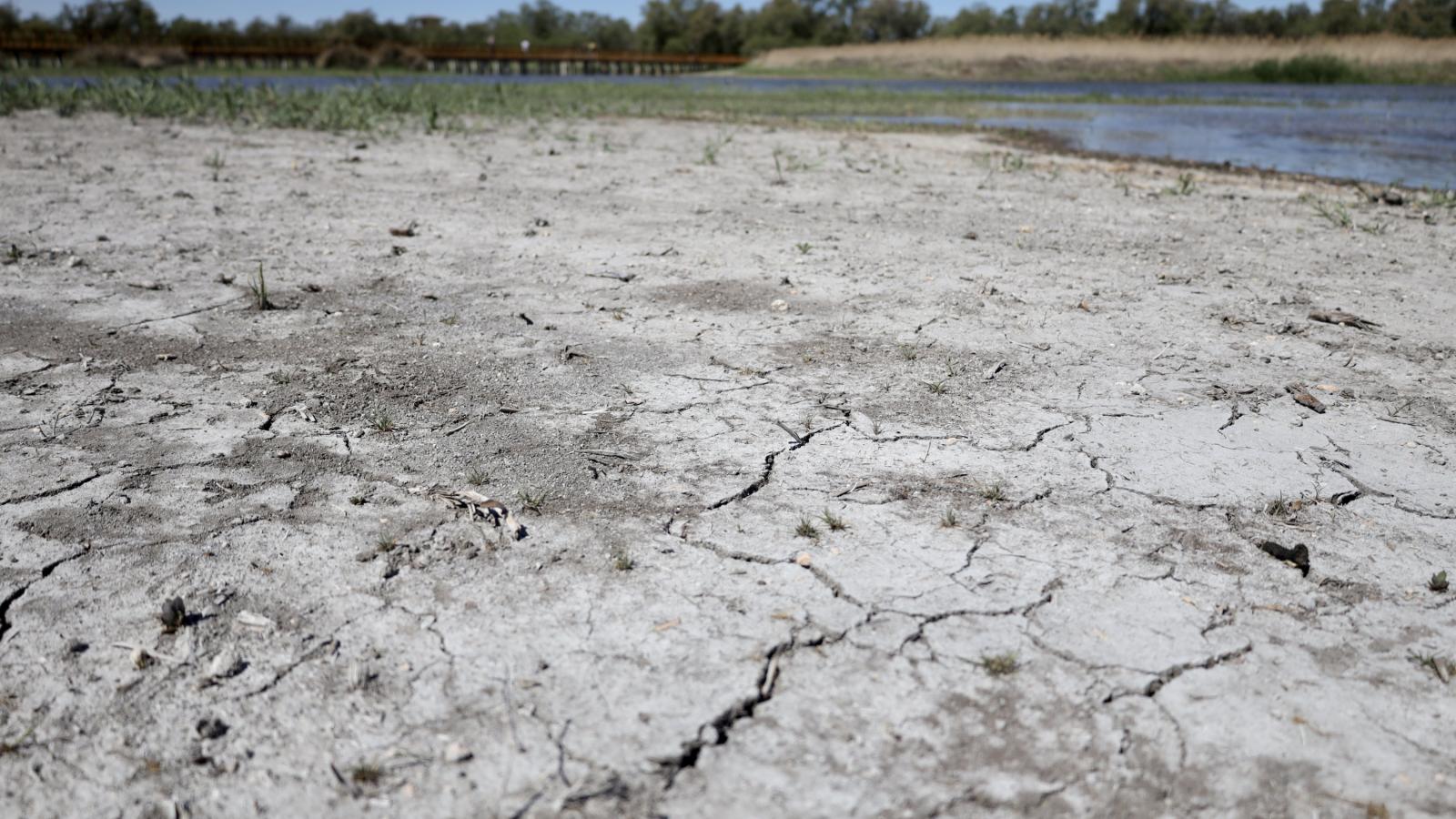 Un otoño de agua y obras