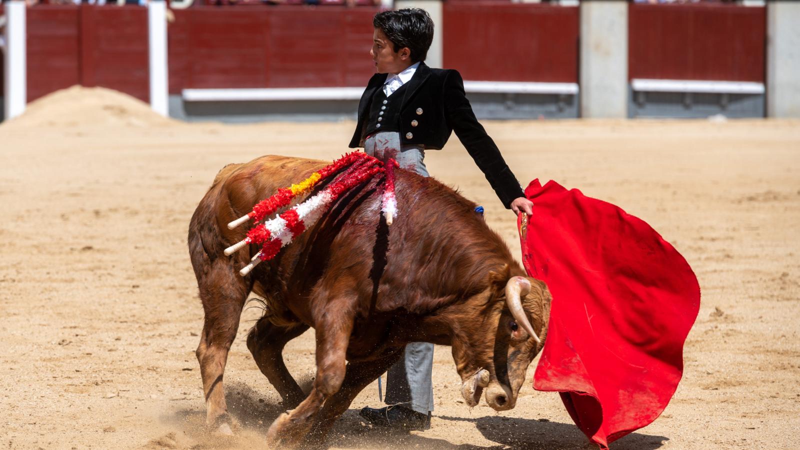 Clase práctica para el joven Marco Pérez