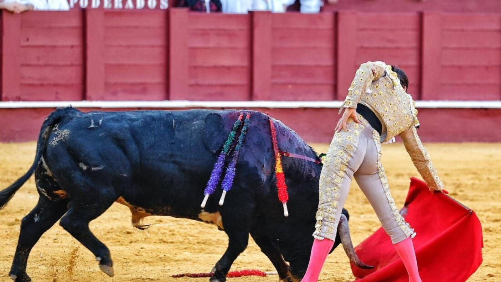 Derechazo de José Garrido