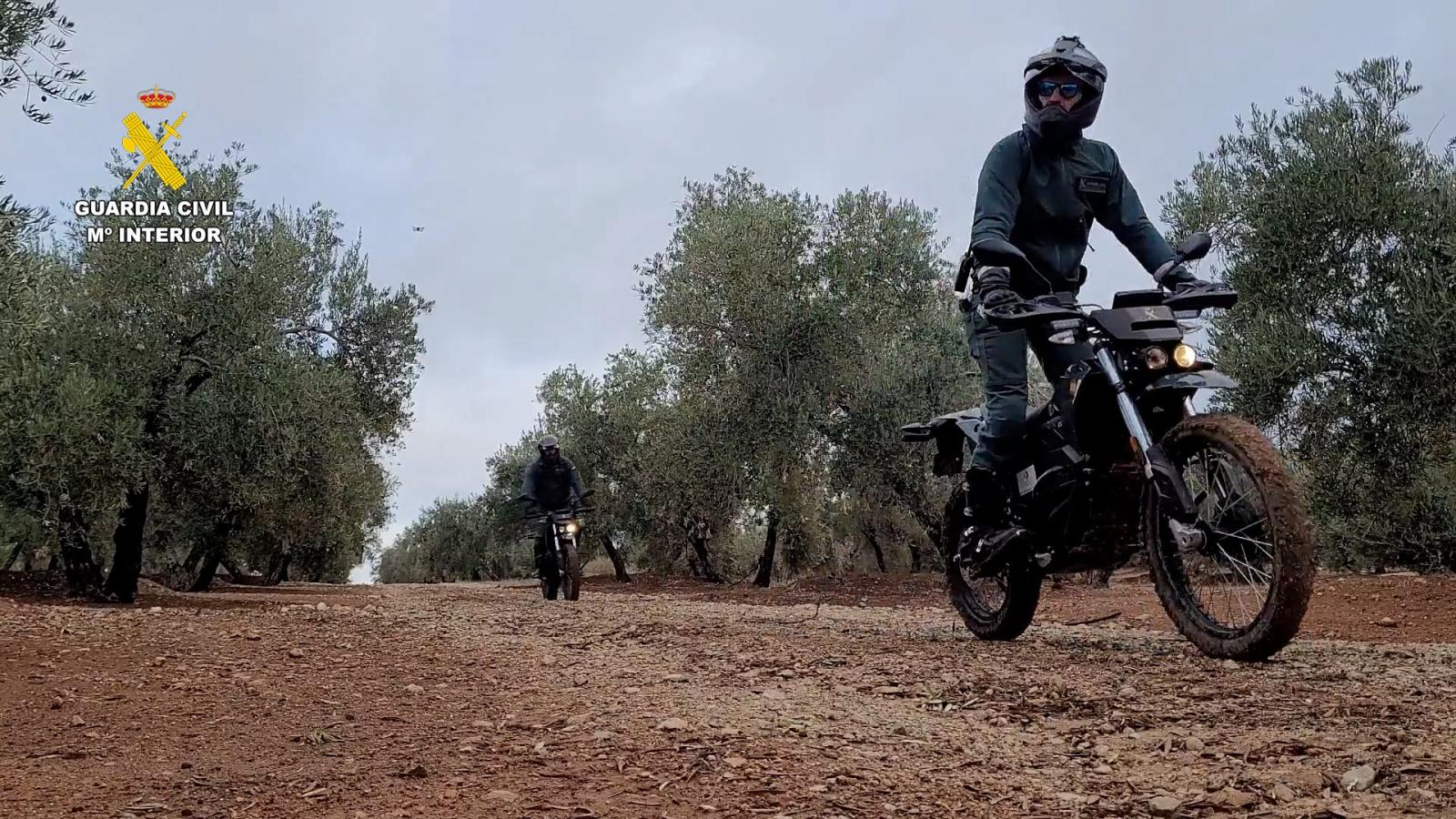 La Guardia Civil realizará una campaña de vigilancia durante la recogida de la aceituna en estos pueblos de Toledo