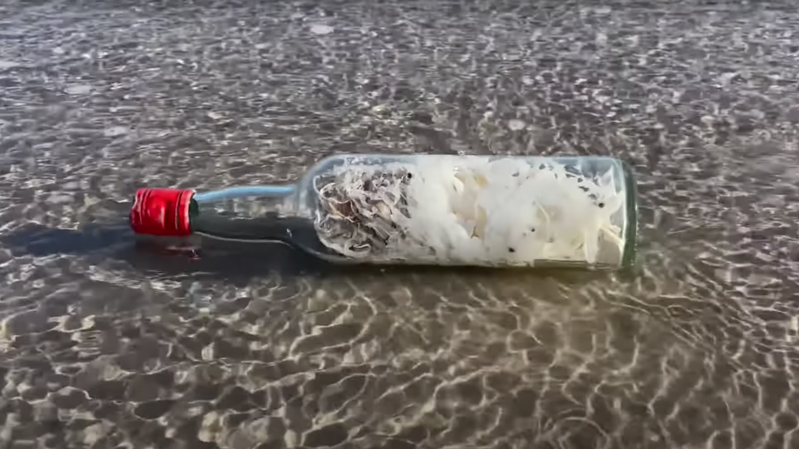 Misteriosas «botellas de brujas» aparecen en las costas del Golfo de México