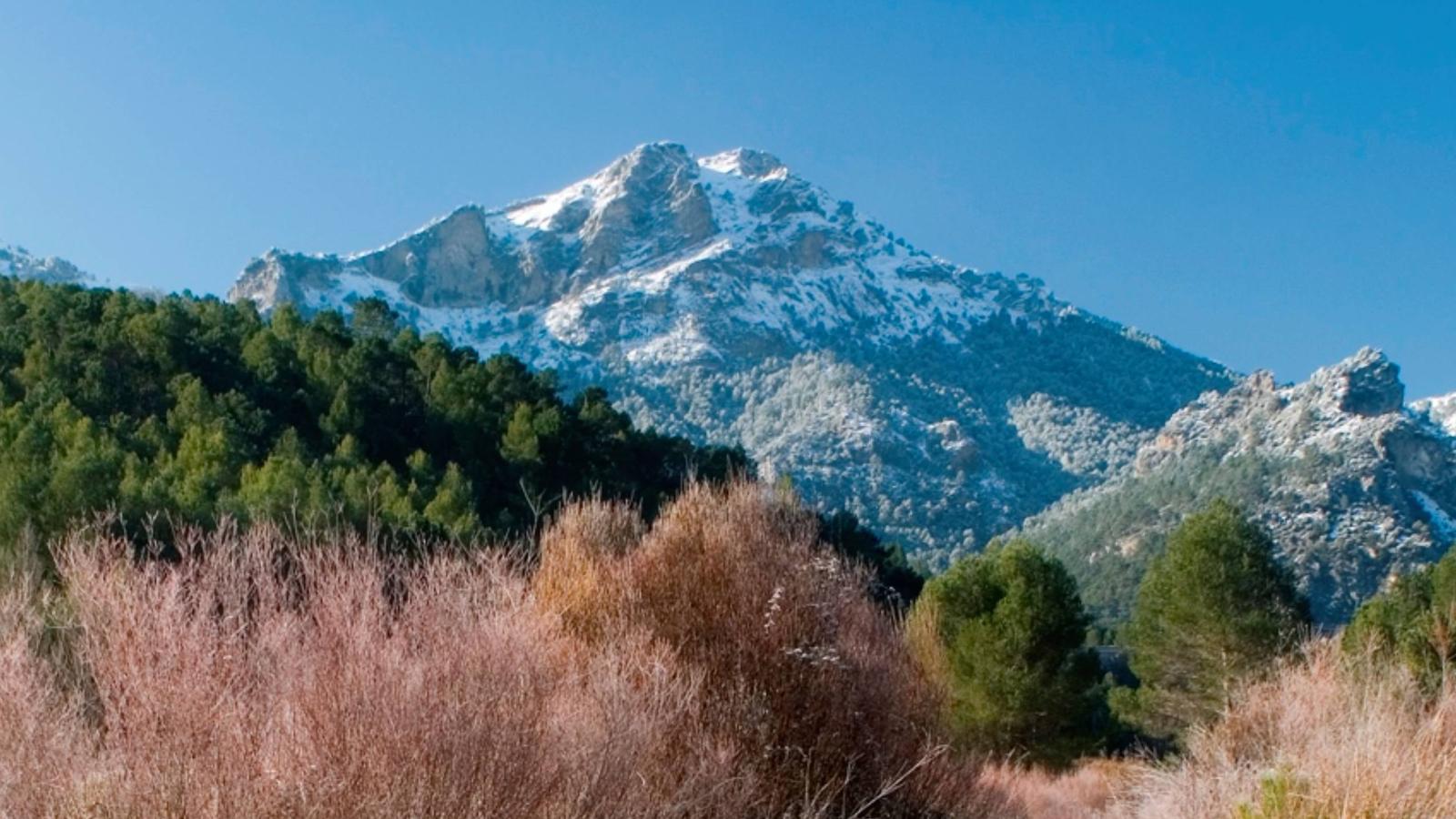 Rutas interpretadas con motivo del Día Internacional de las Montañas