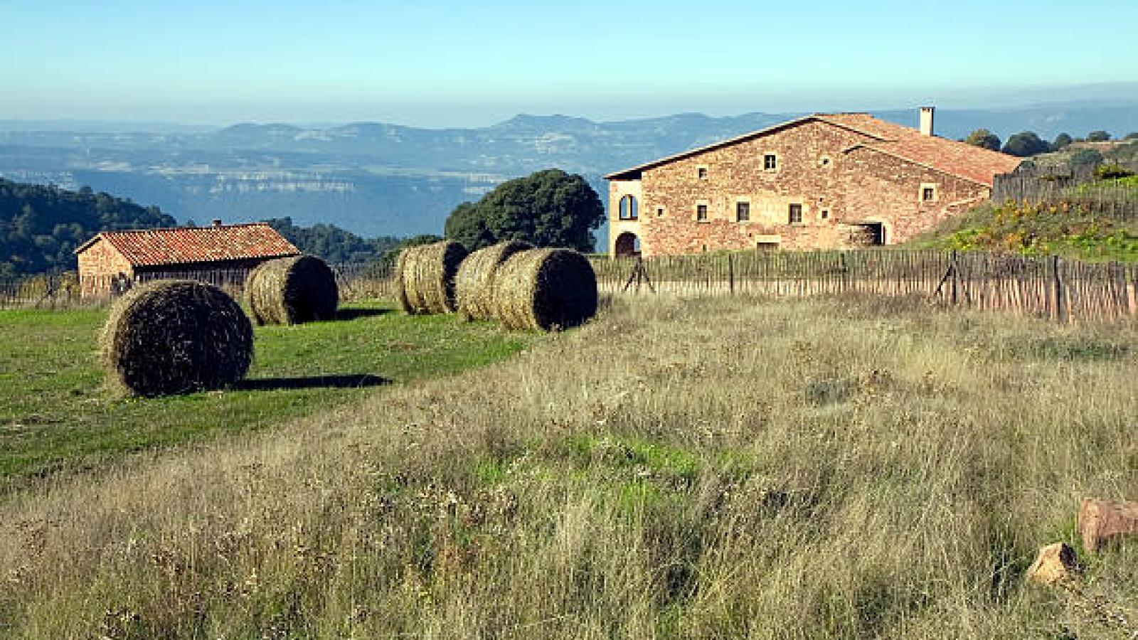 Los mejores planes rurales para pasar la Nochevieja en Castilla-La Mancha según ChatGPT