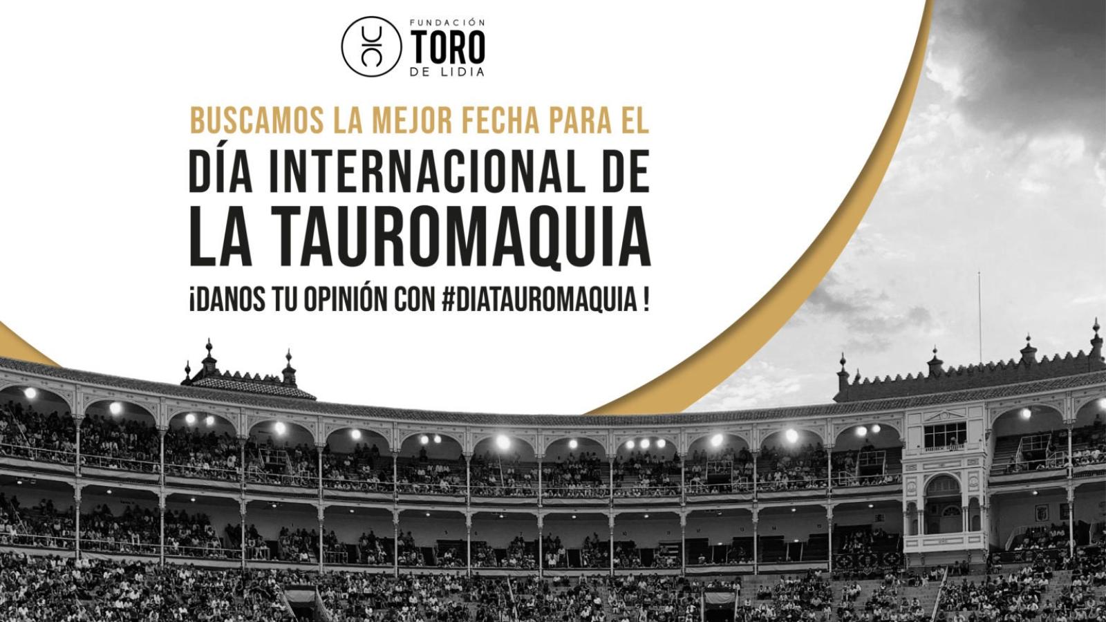 La Fundación Toro de Lidia propone la creación del Día Internacional de la Tauromaquia