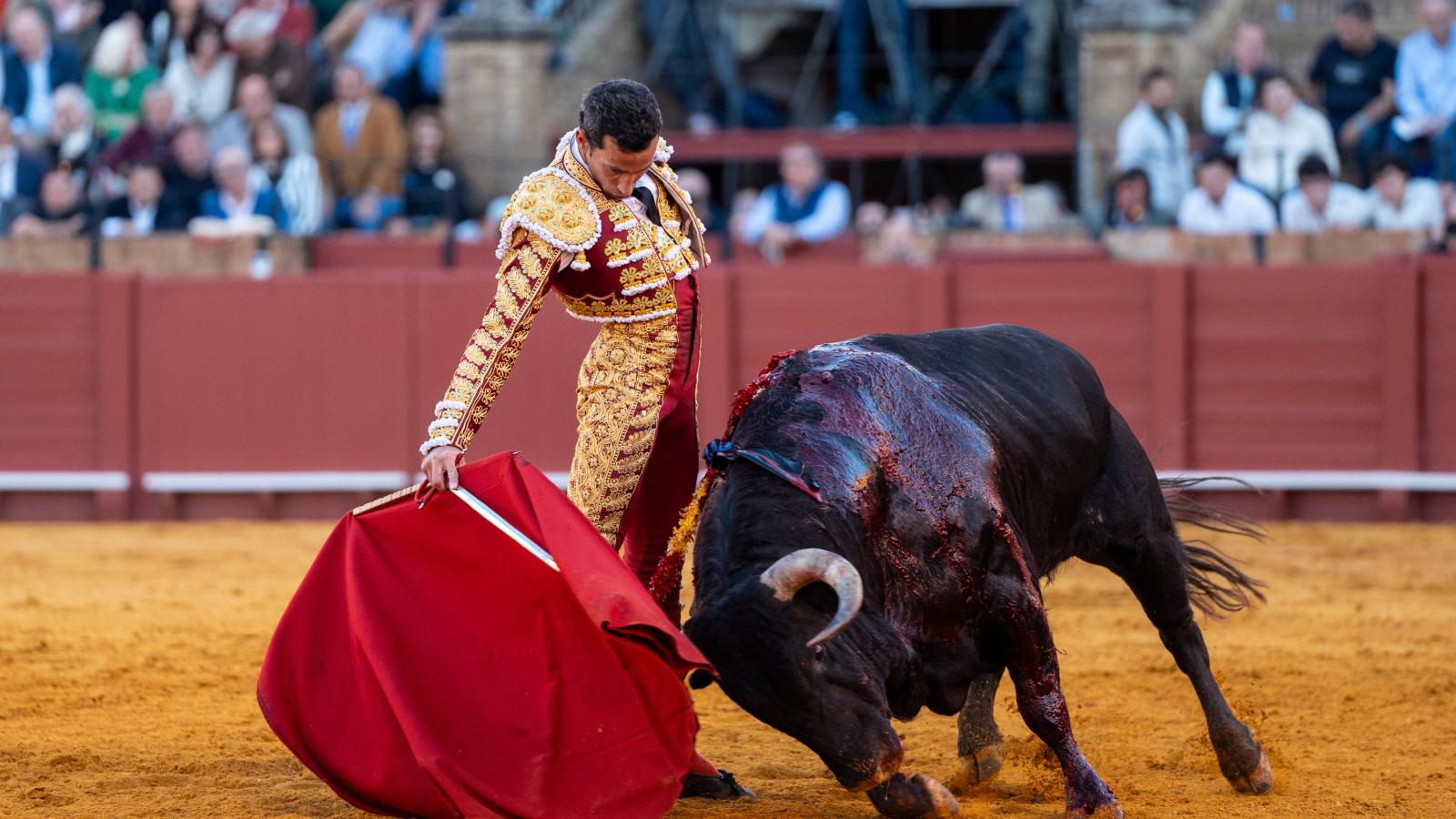 La bravura de los toros de Santiago Domecq pone el espectáculo en la Maestranza