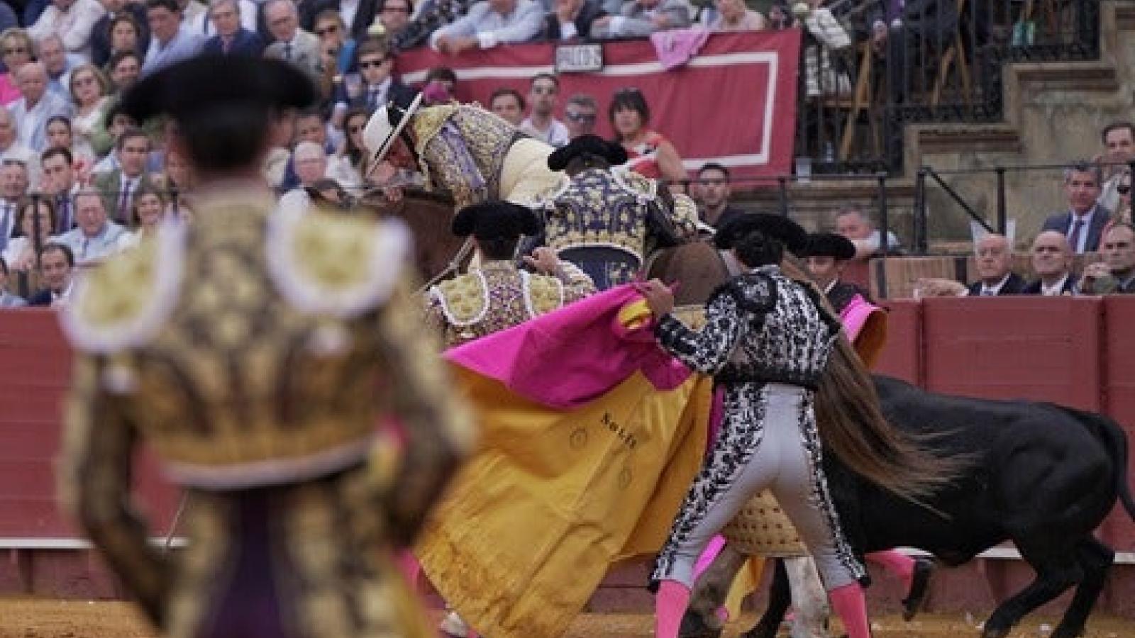 Así fue el gran quite de Manzanares en una tarde de mala historia