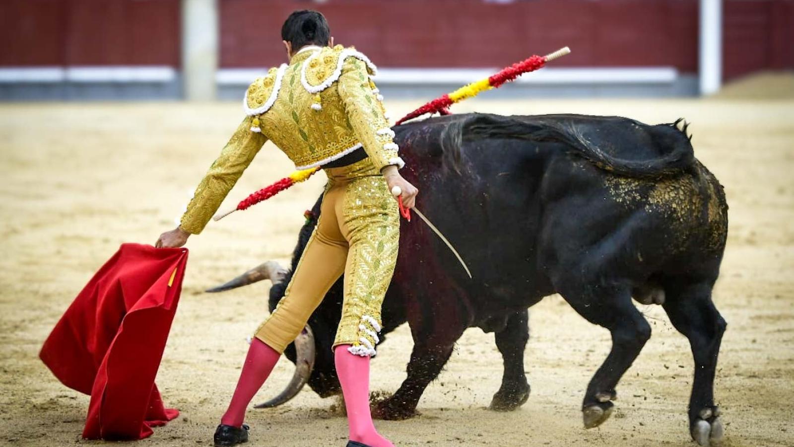 Por San Isidro ni madrileños ni éxitos