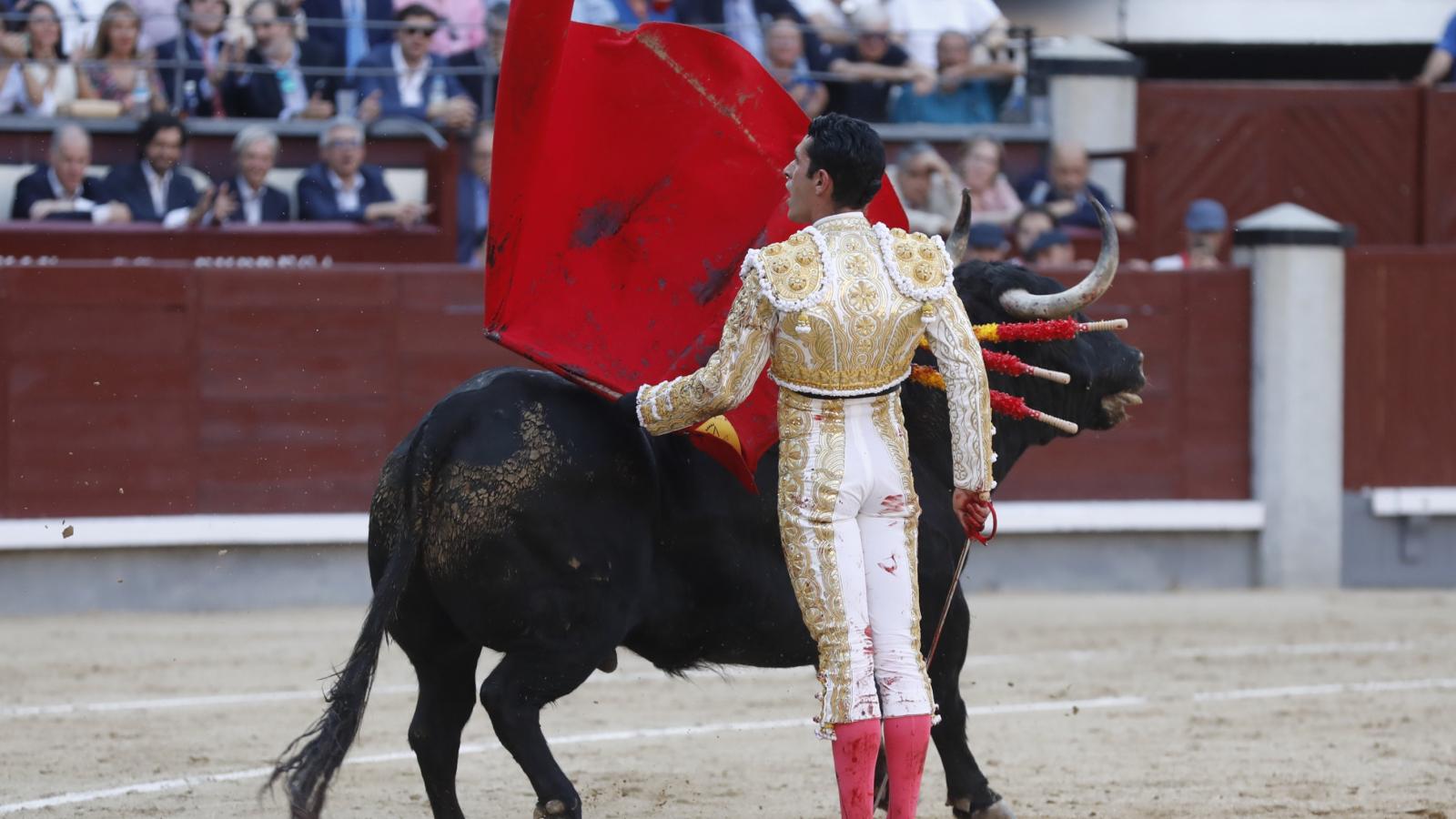 Toros Feria de San Isidro. Morante de la Puebla, Alejandro Talavante y Pablo Aguado.© Jesús G. Feria.