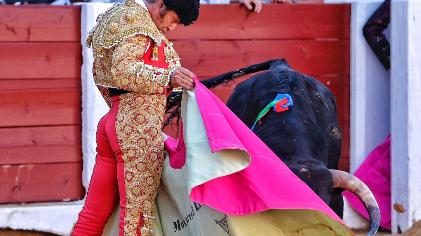 Hermoso y Morante, a hombros, en honor de la libertad en Cáceres