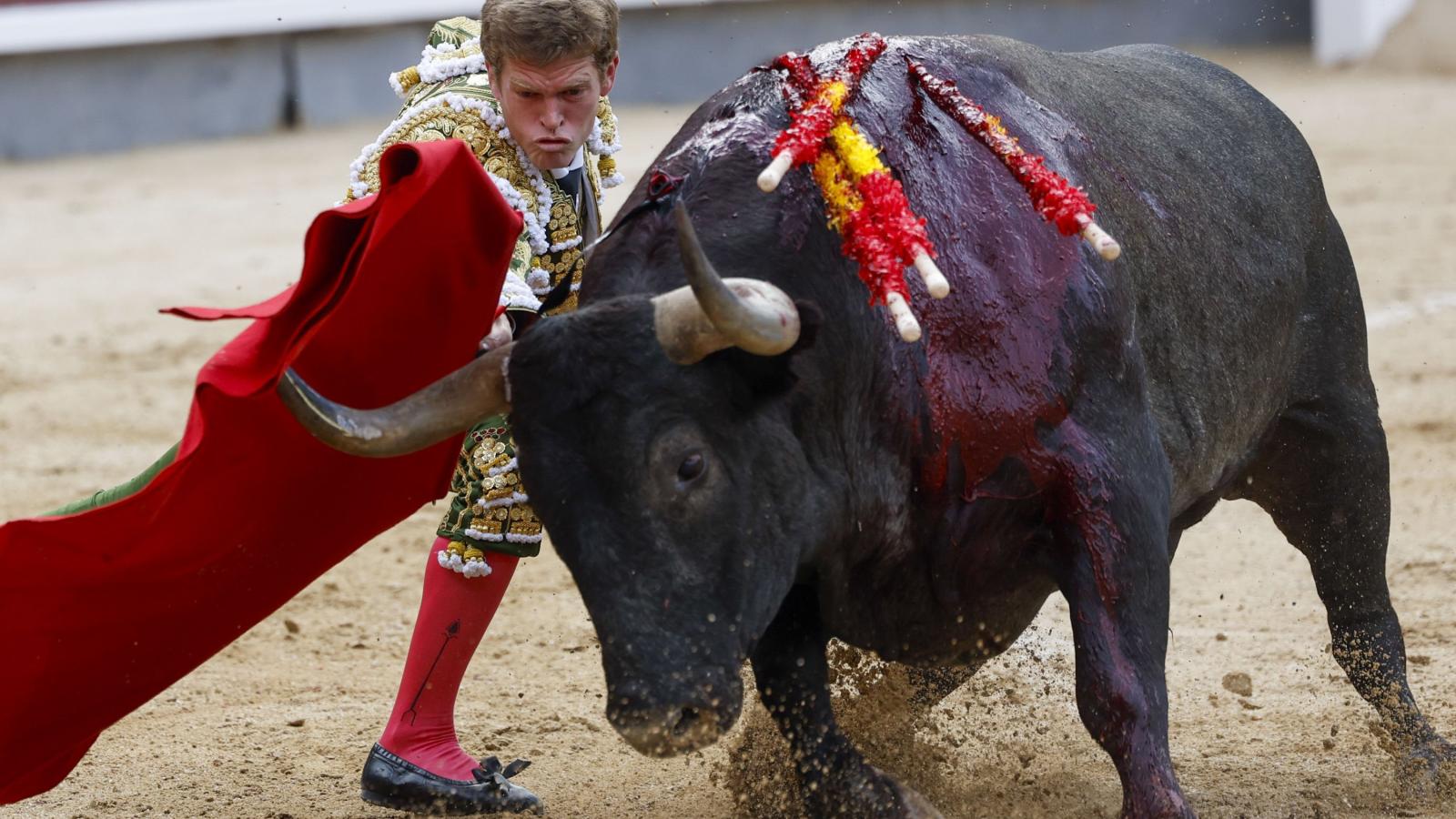 Este es el curioso motivo por el que la muleta de los toreros es roja (no es para atraer al toro)