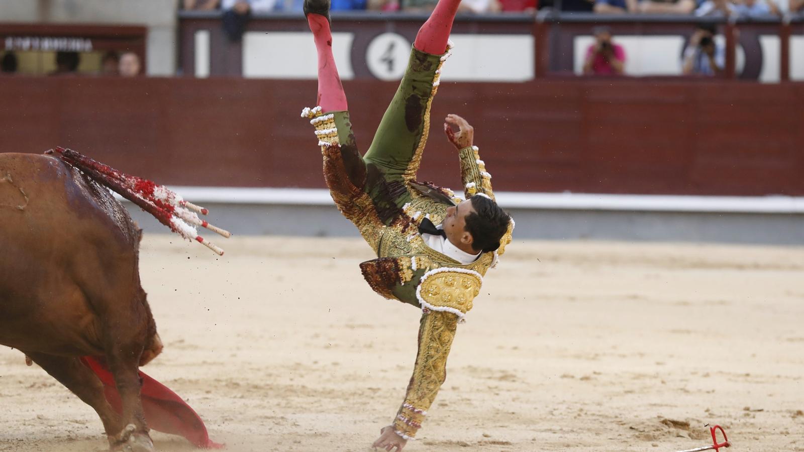 ¿Cómo evolucionan los toreros heridos el pasado fin de semana?