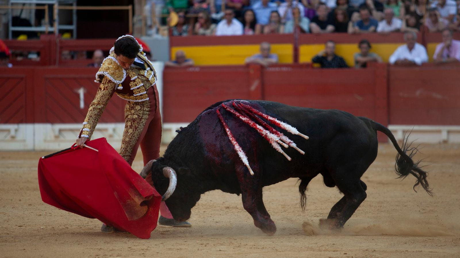 Les Fogueres de Sant Joan en Alicante 