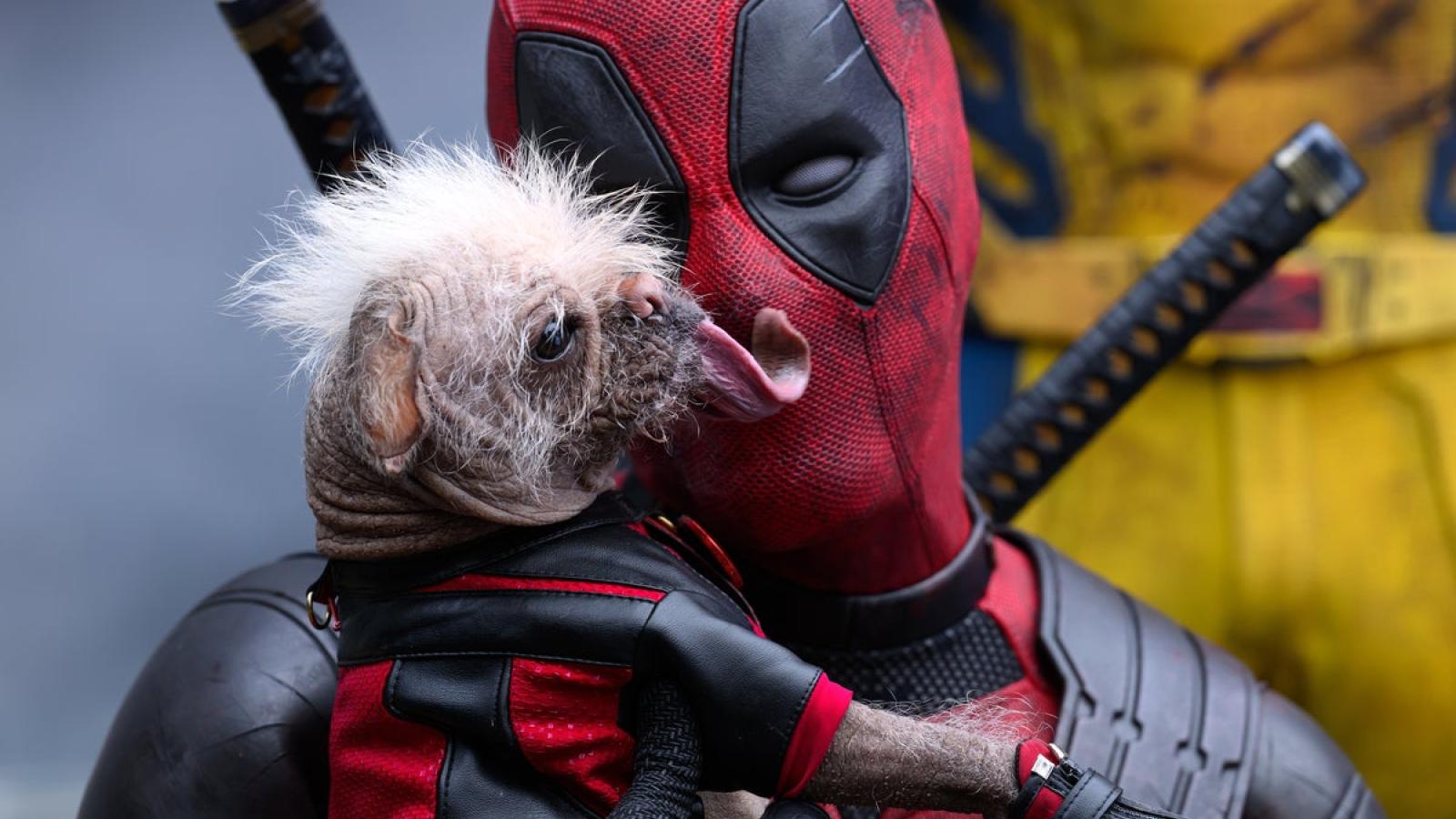 Deadpool, Lobezno, Madonna y el cine con anabolizantes