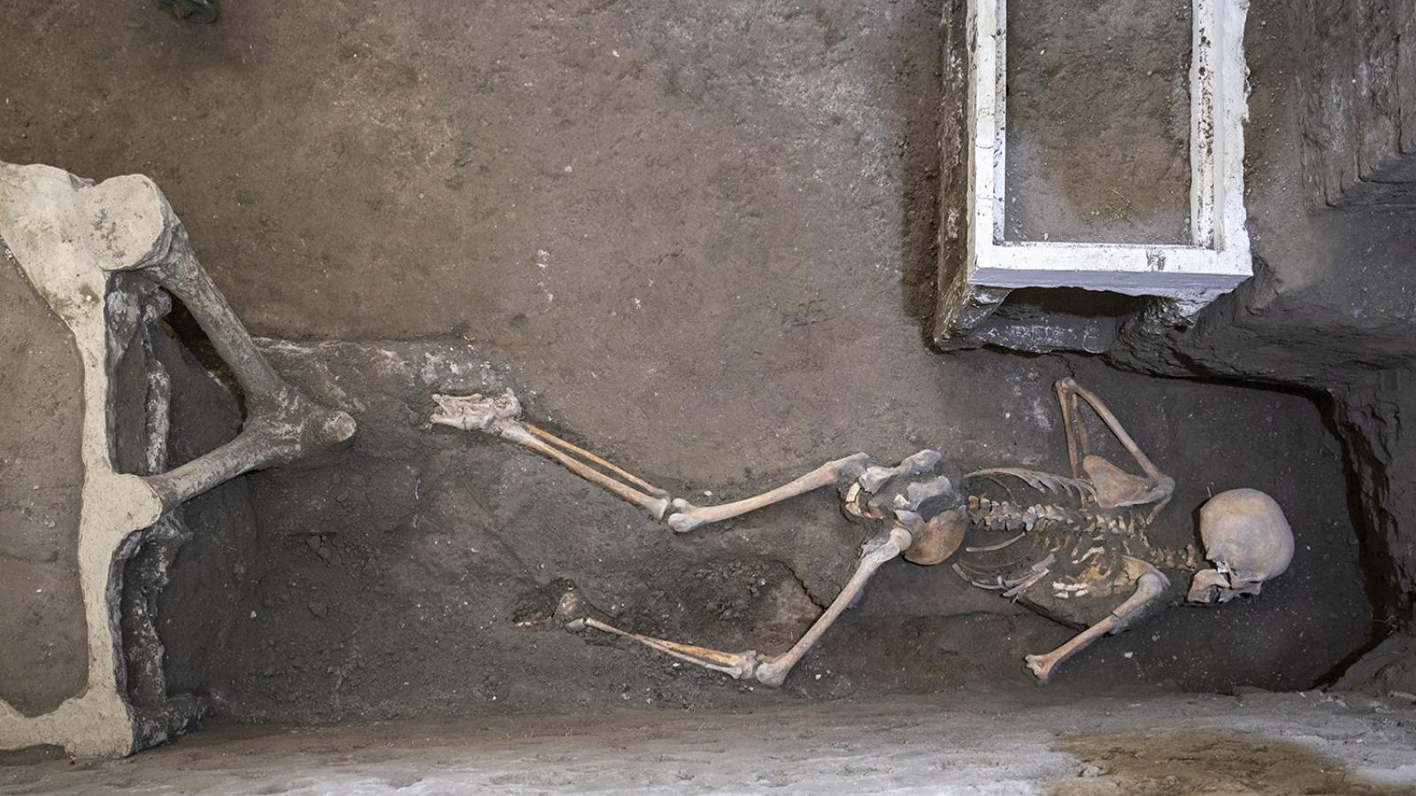 Nuevos hallazgos en Pompeya: Los cuerpos de un hombre y una mujer y su tesoro