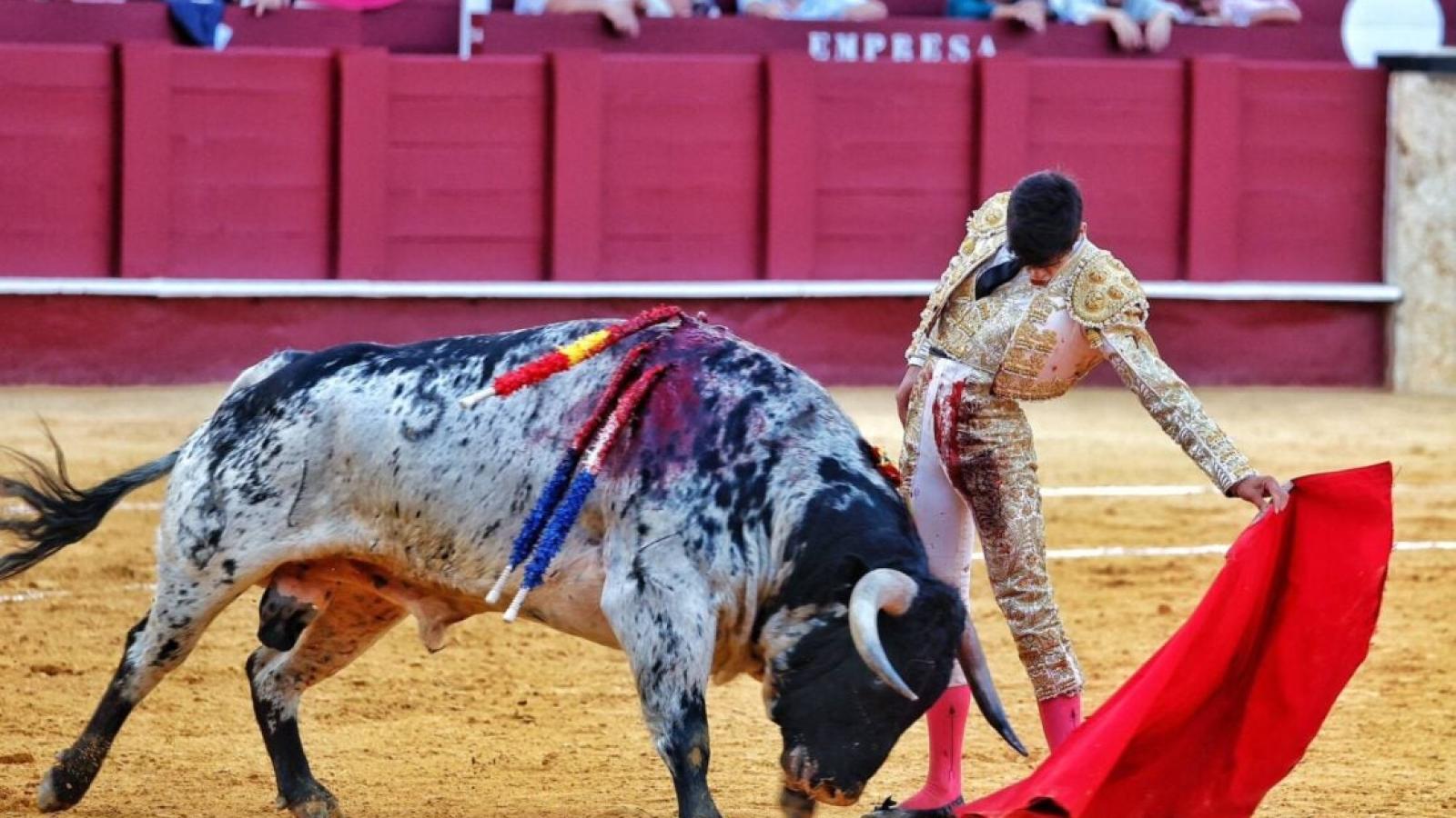 Dos orejas para Simón Andreu y herido Alejandro Chicharro