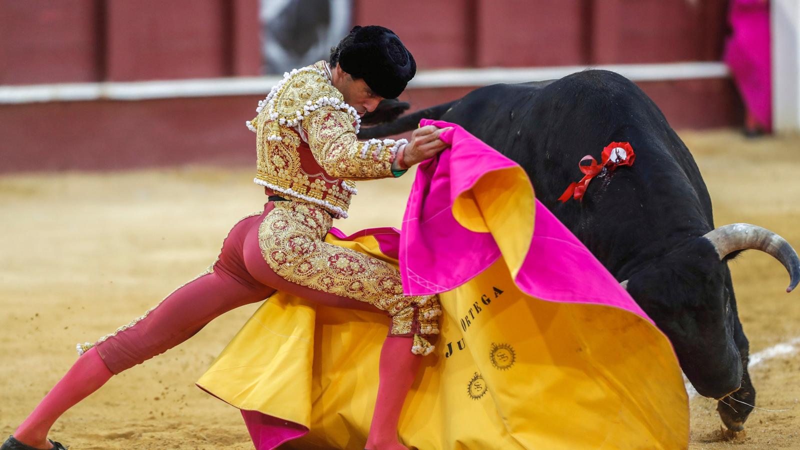 Juan Ortega templa el toreo en la despedida de Enrique Ponce de La Malagueta