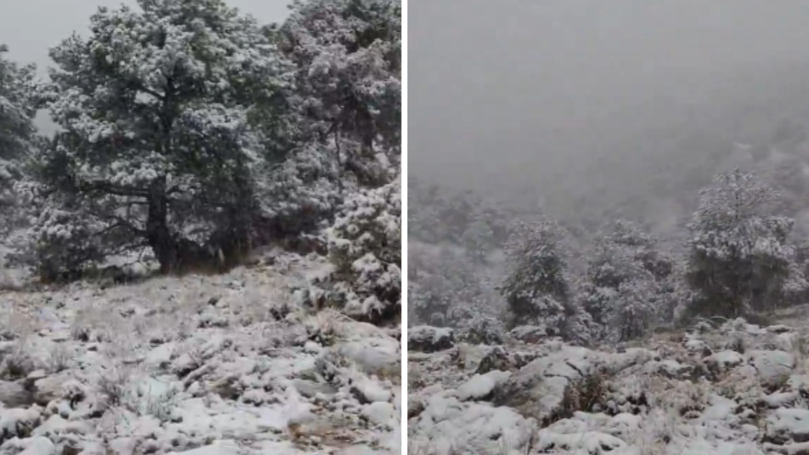 Imágenes de las primeras nevadas en la provincia de Albacete