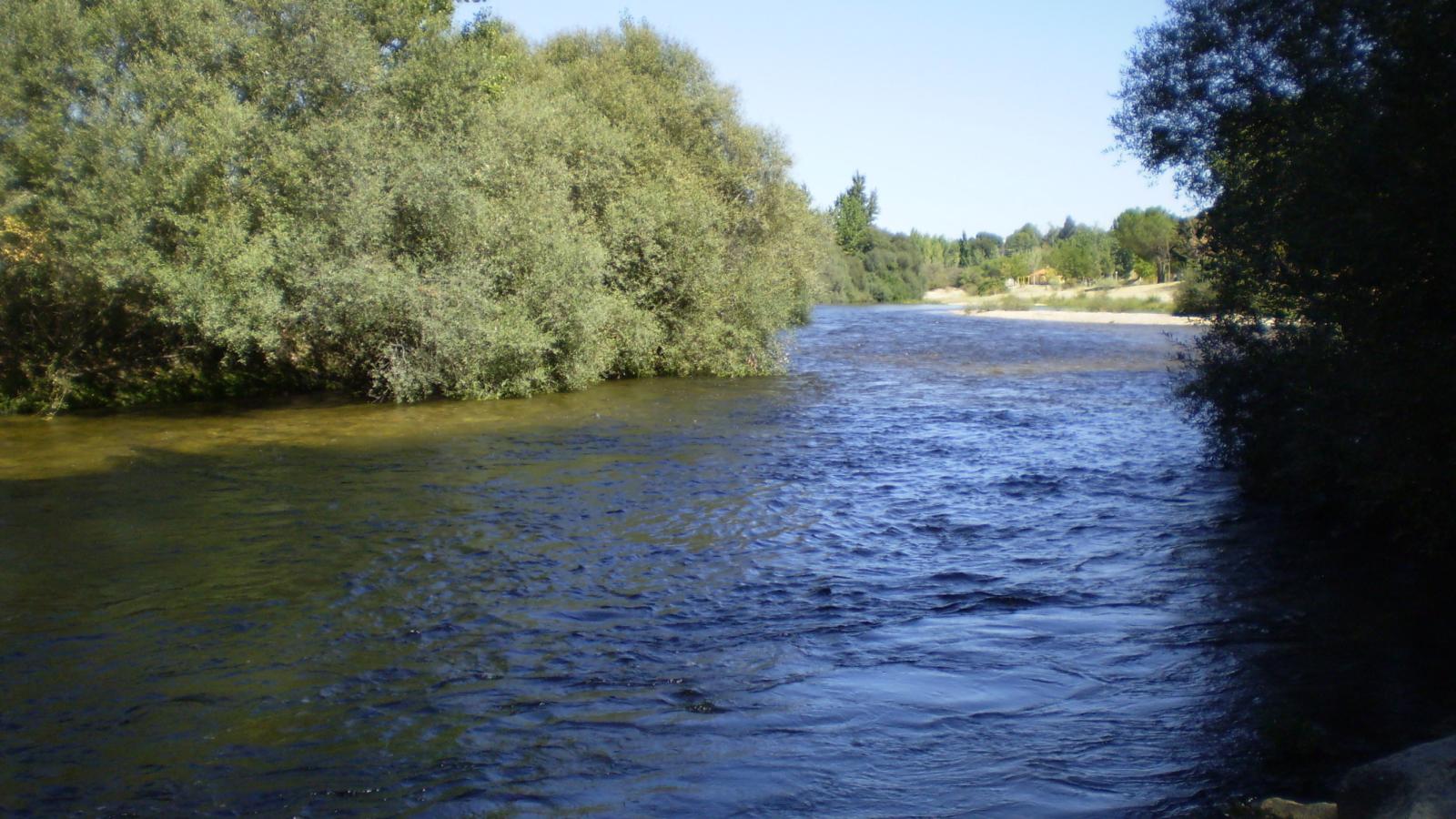 Escalona (Toledo) se inunda por la crecida del río Alberche: un hombre ha sido rescatado por los bomberos