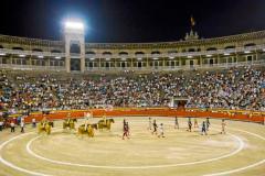 El Coliseo Balear celebra esta noche su 90 aniversario con una corrida monstruo / Alberto R. Roldán