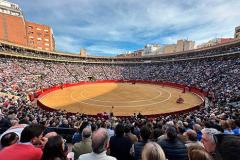 Plaza de toros de Valencia