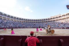 Toros en Las Ventas. David Jar