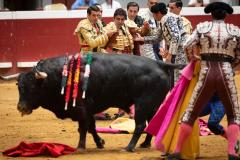 Segunda tarde de toros de la Semana Grande donostiarra con los diestros Miguel Ángel Perera, Emilio de Justo y David Galván