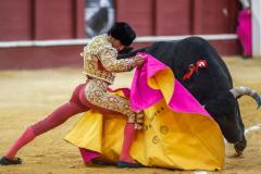 Toros en Málaga