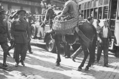 El general Sanjurjo en Sevilla en agosto de 1932: todos decían que preparaba un golpe