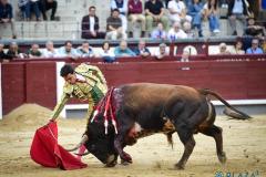 Juan de Castilla emerge entre un maratón de sobreros en previa a Feria Otoño