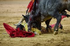 Toros en Las Ventas. Feria de otoño. Miguel Angel Perera y Emilio de Frutos© Alberto R. Roldán / La Razón. 12.