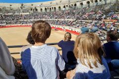 Una propuesta de ley en Francia pone en riesgo las corridas de toros