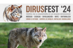 Un festival en defensa del lobo desata la furia de ganaderos, agricultores y cazadores de Guadalajara