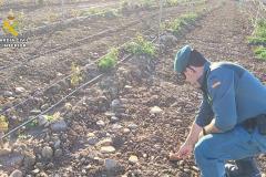 Investigado por el SEPRONA un vecino de Aldeanueva de Ebro por causar graves daños en el yacimiento arqueológico La TorrecillaREMITIDA / HANDOUT por Guardia CivilFotografía remitida a medios de comunicación exclusivamente para ilustrar la noticia a la que hace referencia la imagen, y citando la procedencia de la imagen en la firma21/11/2024